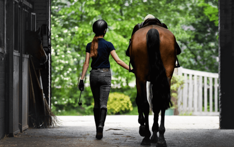 A Beginner’s Guide to the Kentucky Derby