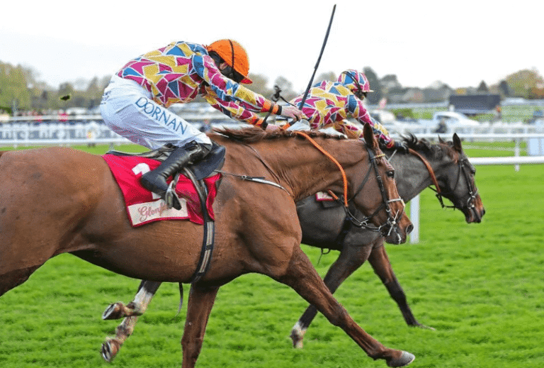 The Thrill of Horse Racing: A Beginner’s Guide