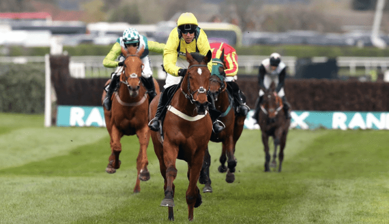 How to Bet on Horse Racing Like a Pro