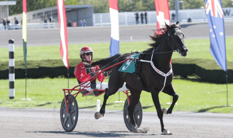 Understanding the Different Types of Horse Races