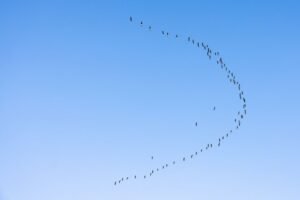 helixvertex synchronization hub identifiers