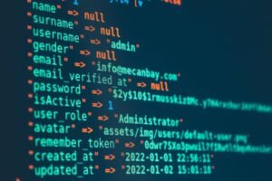 vertexfusion cyber framework identifiers list